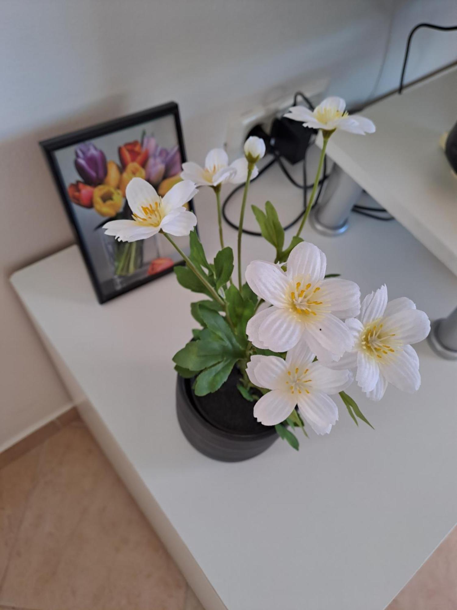 Apartman Valbandon Fažana エクステリア 写真